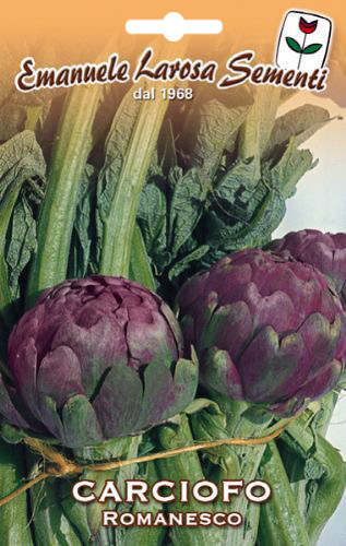 Romanesco Larosa