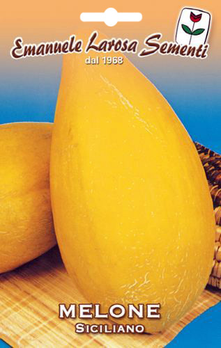 Melon Long Jaune de Sicile 