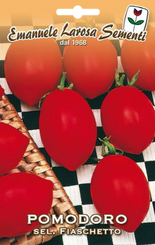 Tomate Allonge Slection Fiaschetto