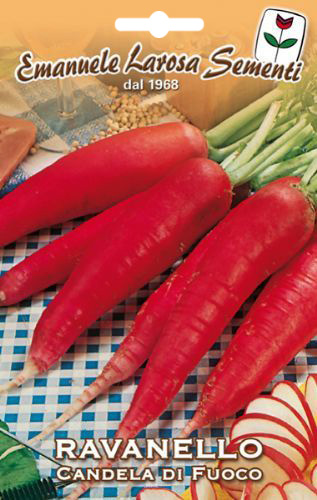 Radis Long Rouge Piquant