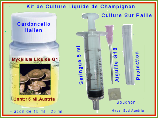 Myclium liquide des Champignons de Culture