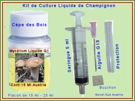 Champignon