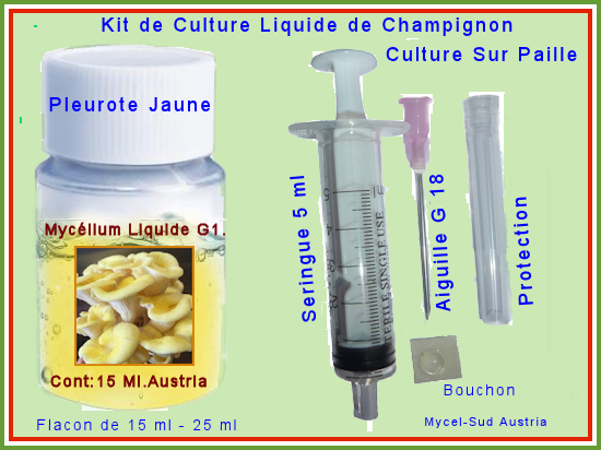 Champignon
