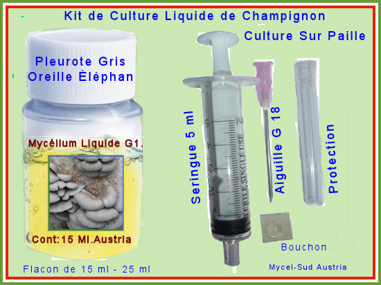 Champignon