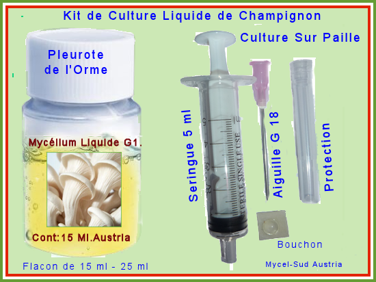 Champignon