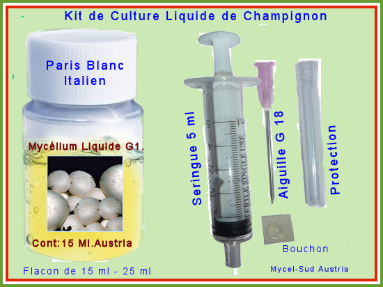 Champignon