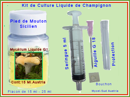 Champignon