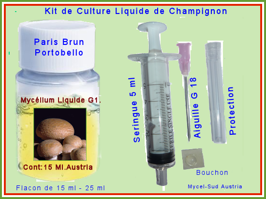 Champignon