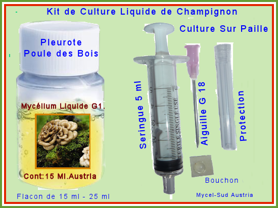 Champignon