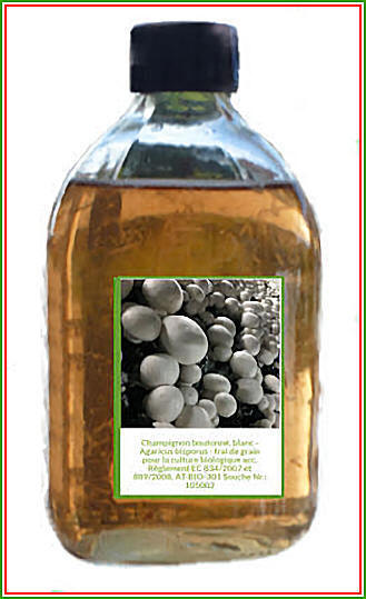 Myc�lium Liquide Champignon de Paris Blanc