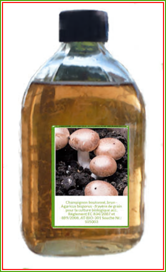 Myclium Liquide Champignon de Paris Brun