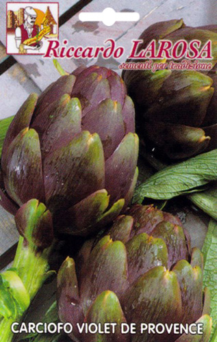 Romagna