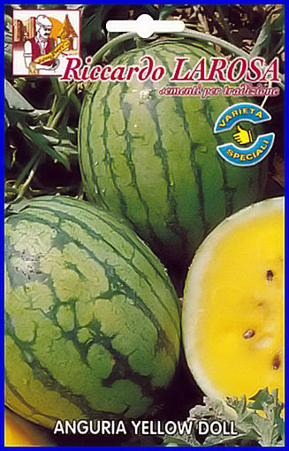 Past�que Jaune Citron