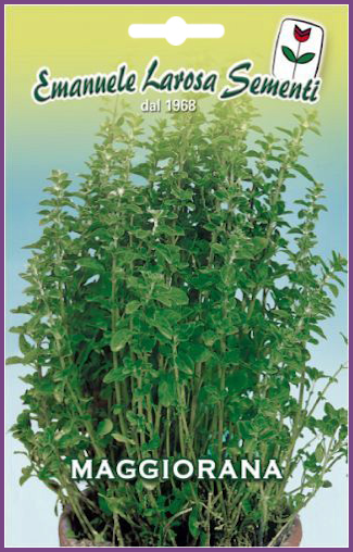 Marjolaine :Variété de Plante aromatique à l'usage culinaire,parfumée.