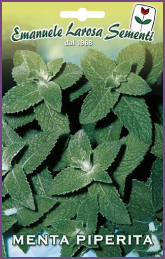 Menthe Verte Poivrée:La Menthe poivrée est une plante herbacée.