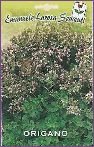 Origan d'Italie:Variété de Plante aromatique à l'usage culinaire,parfumée.