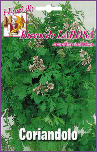 Coriandre RL:Variété de Plante aromatique à usage culinaire,parfumée.