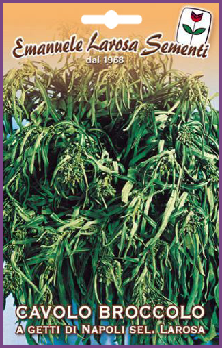 Chou Brocoli à Jets de Naples Larosa