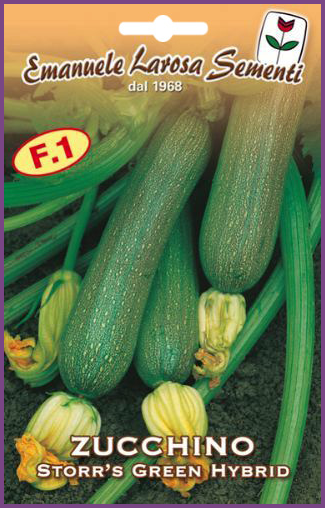  Courgette Green Hybride