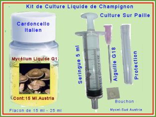 Kit Culture Liquide G1 Cardoncello Italien