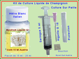 Kit Culture Liquide G1 Champignon Hêtre Blanc