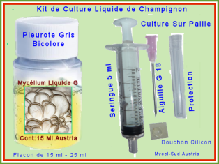 Kit Culture Liquide G1 Pleurote Gris Bicolore