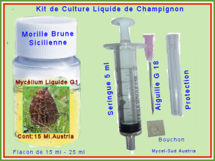 Kit Culture Liquide G1 Morille Brune