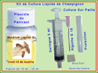 Kit Culture Liquide G1 Pleurote de Panicaut
