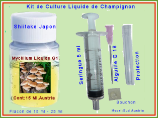 Kit Culture Liquide G1 Shiitake Culture Sur Paille