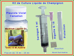 Kit Culture Liquide G1 Pleurote Violet Bicolore Géant.