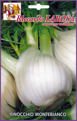 Fenouil à Gros Cœur Blanc