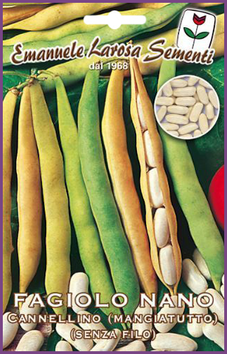 Haricot Vert Nain Sans Fil Ancienne Variété