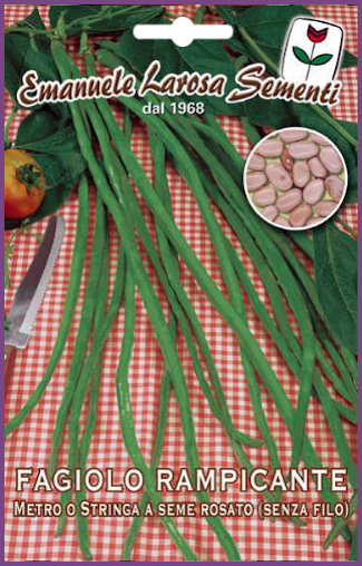 Haricot Vert Mètre:Variété à rame de haricot vert à graines Rosées