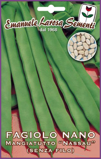 Haricot Vert Mange tout sans Fil Variété:Nassau