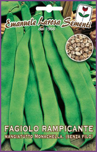 Haricot Vert Mange tout à Rame Sans Fil Variété: Monochella