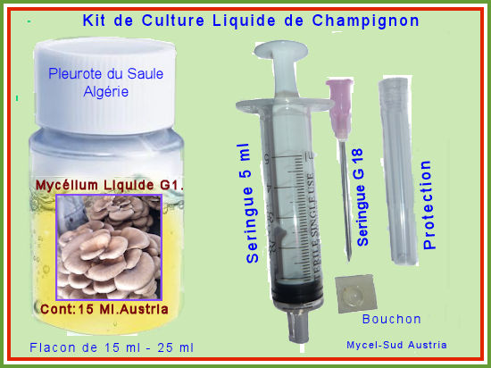 Kit Culture Liquide Pleurote des Saule Algérie