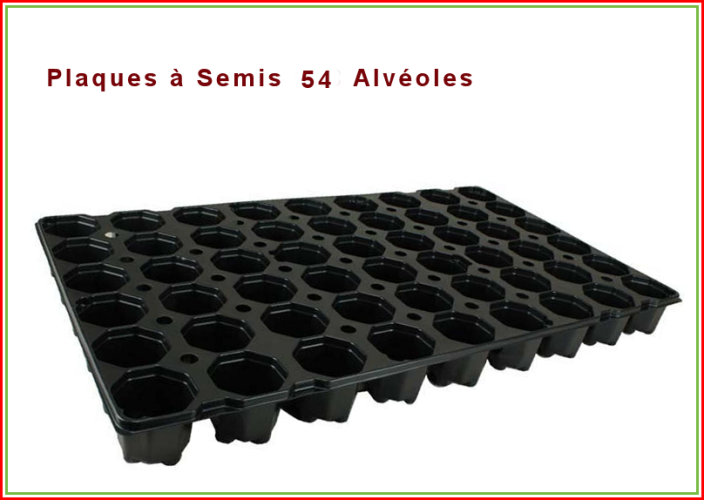 Plaque de SEMIS 150 alvéoles - lot de 2 - Jardin Couvert
