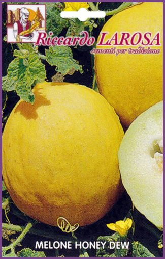 Melon Jaune Rond Variété Ancienne