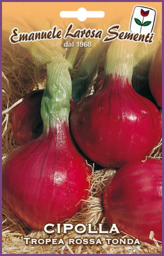 Oignon Rond Rouge