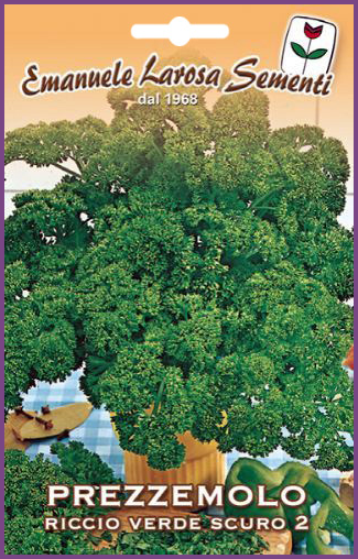 Persil Frisé Vert Foncé