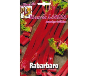 Rhubarbe Rouge de Naples.