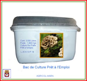Kit Bac de Culture Poule des Bois 3,500 Litres.