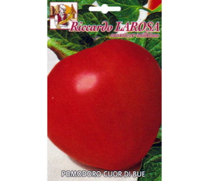 Tomate Coeur de Boeuf Très Gros Fruit.