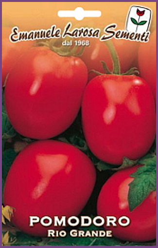 Tomate Rio Grande