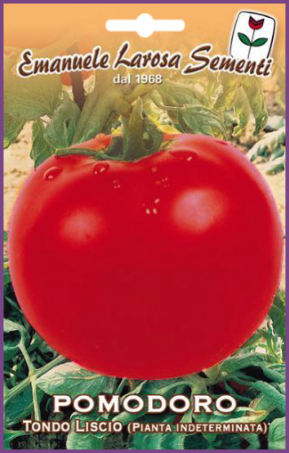 Tomate Ronde à Peau Lisse