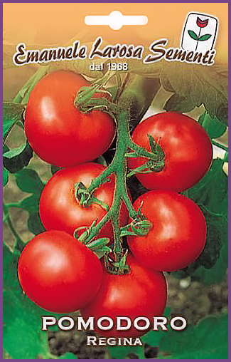 Tomate Grappe Regina