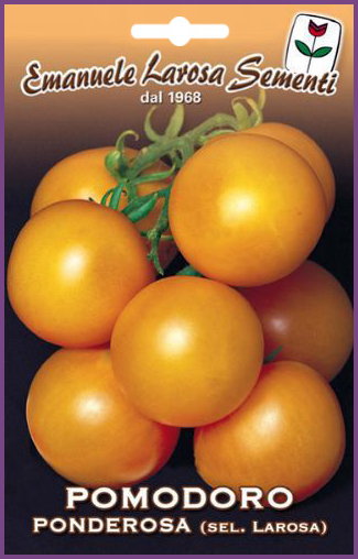 Tomate Ronde Jaune E. Larosa