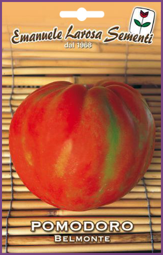 Tomate Belmonte Très Gros Fruit