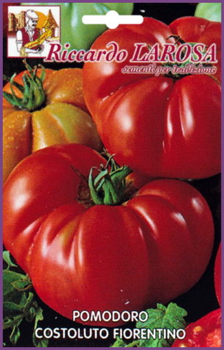 Tomate de Florence