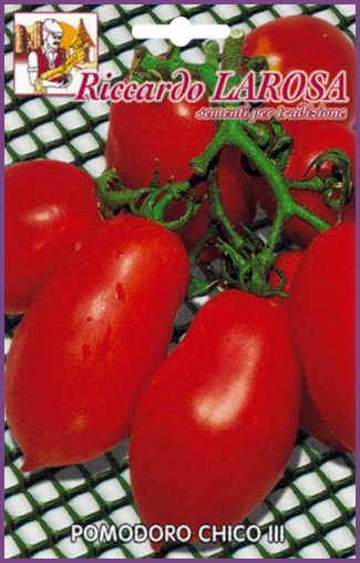 Tomate Longue Chico 3 italienne